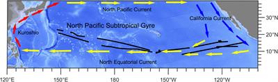 Both Dissolved Oxygen and Chlorophyll Explain the Large-Scale Longitudinal Variation of Deep Scattering Layers in the Tropical Pacific Ocean